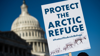 The Trump Administration Is Getting Sued for Opening the Arctic National Wildlife Refuge to Drilling